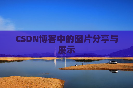 CSDN博客中的图片分享与展示